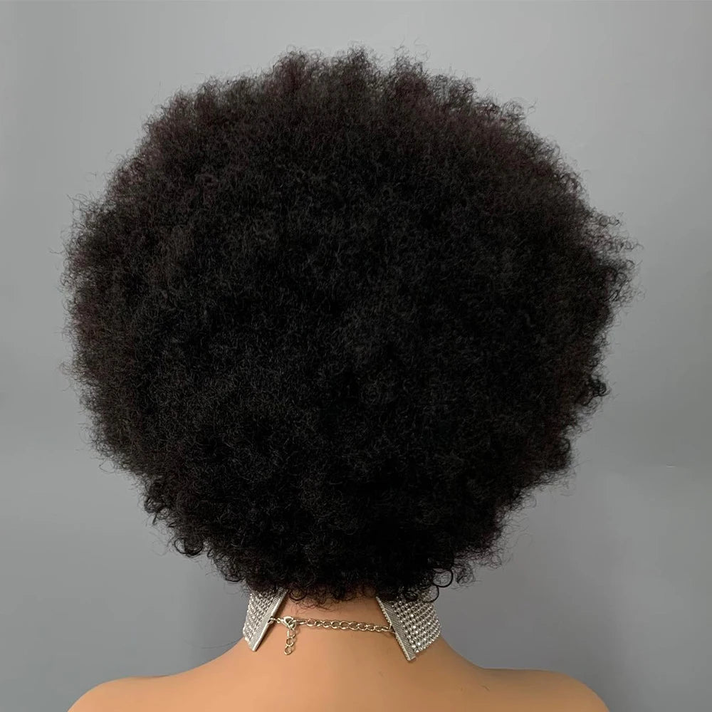 Perruque de Cheveux Humains Bouclés Afro Moelleux
